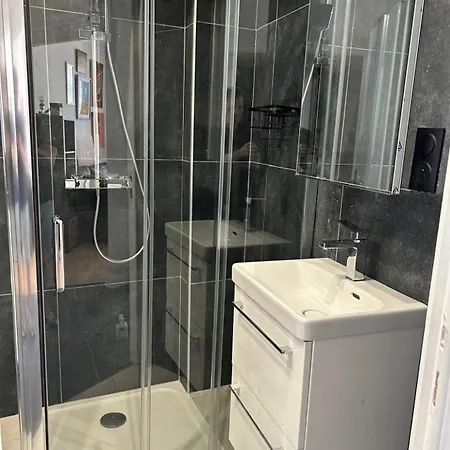 住宿加早餐酒店 Shared Flat In Liberation 尼斯